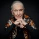 ATLWC - Jane Goodall - 600x600